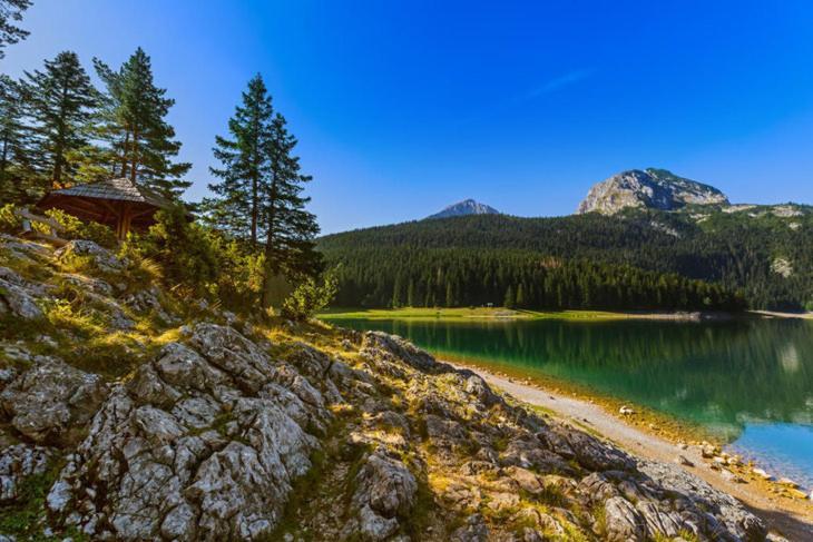 Willa Vikendice Smolovic Žabljak Zewnętrze zdjęcie