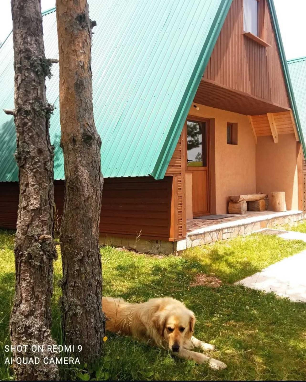Willa Vikendice Smolovic Žabljak Zewnętrze zdjęcie